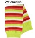 babylegs watermelon