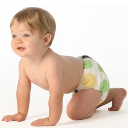 http://www.melicott.com/images/blueberry-image-bebe.jpg