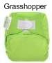 bumgenius grasshopper