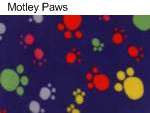 bumhugger motley paws
