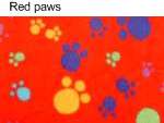 bumhugger red paws