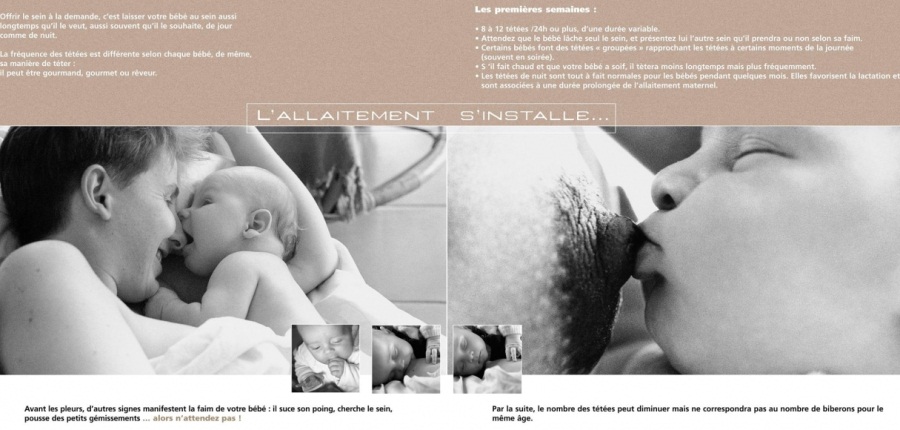 http://www.melicott.com/images//livre-allaitement-pages.jpg