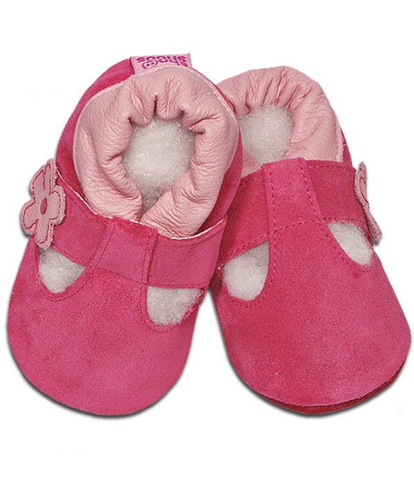 Shooshoos Fuschia Flower Shooshoos Fuschia Flower